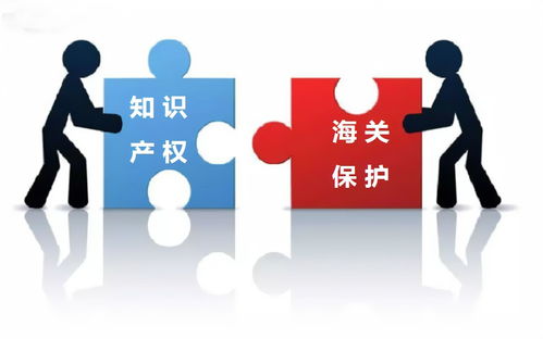 知識產(chǎn)權服務 專業(yè)護航創(chuàng)新的核心特點解析