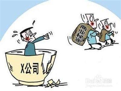 知識產(chǎn)權機構 創(chuàng)新企業(yè)的守護神與導航者