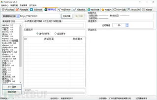 北極熊掃描器4.4企業(yè)版 引領(lǐng)網(wǎng)絡(luò)與信息安全軟件開(kāi)發(fā)新紀(jì)元